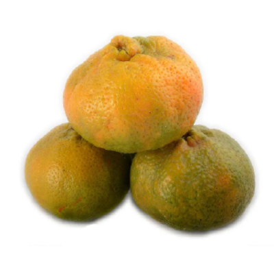 Mandarina arrayana (libra)