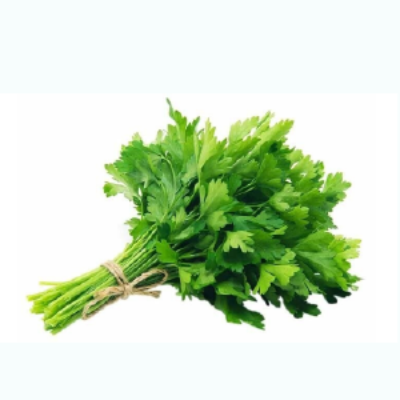 Cilantro (paquete)